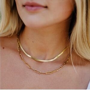 GOLD 14k Gold Plated 2pc Snake & Paperclip Necklace Set